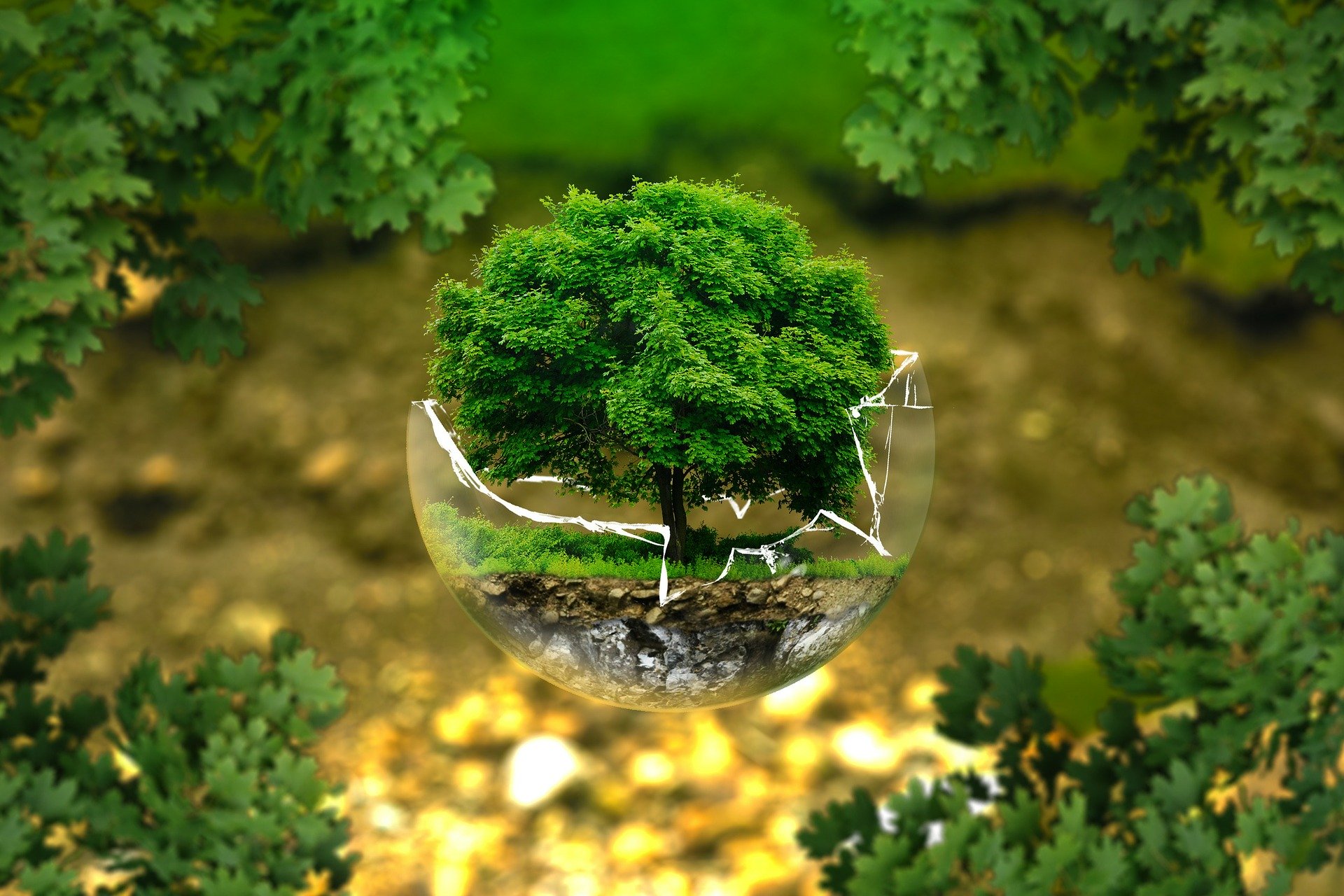 pixabay